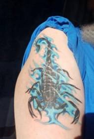 Id-driegħ kbir tat-tifla tat-tatwaġġ Scorpion fuq stampa tat-tatwaġġ tal-iskorpjun ikkulurit