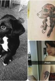 Tatuaje del brazo grande de la niña animal en la imagen del tatuaje del cachorro negro