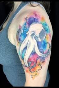 Tatuaggio di polpo semplice foto di tatuaggio di polpo colorato sul braccio della ragazza