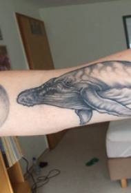 Baile eläin tatuointi poika iso käsivarsi mustan valaan tatuointi kuvaa