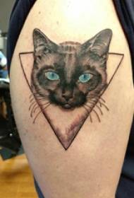 Ilustración de tatuaje de brazo grande brazo grande masculino en imagen de tatuaje de triángulo y gato