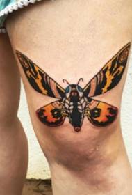 蝴蝶紋身圖片女孩大腿上的蝴蝶紋身圖片