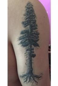 Băieții braț mare pe punct negru spini linie simplă plantă mare copac tatuaj imagine