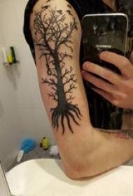 Život strom tetovanie vzor chlapec veľké rameno na čiernom obrázku tetovanie strom života