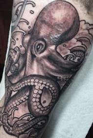 Nnukwu ogwe aka okpukpu abuo na ogwe aka buru ibu na foto octopus tattoo