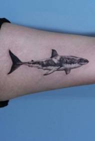 Ilustración de tatuaje de tiburón niño con brazo grande en imagen de tatuaje de tiburón negro