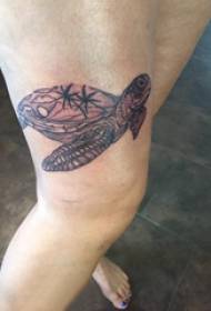 Tartaruga tatuagem padrão menina coxa tartaruga tatuagem padrão
