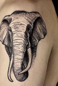 Fotografi tatuazh i një modeli tatuazhi elefanti të djathtë në krahun e djalit