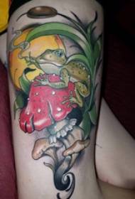 Ipeyinti lentombazana ebunjiwe ye-tattoo ku-mushroom nesithombe se-frog tattoo