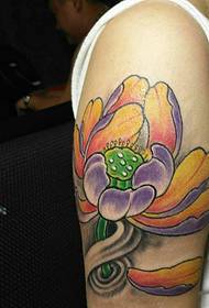 Nagy kar színű lótusz tetoválás minta gyönyörű és gyönyörű