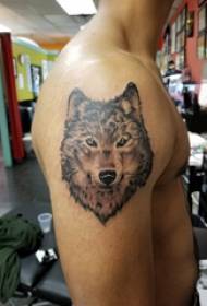 Kapljica tetovaža krvi vučje glave skiciranje slike tetovaža glava vuka na muškoj ruci