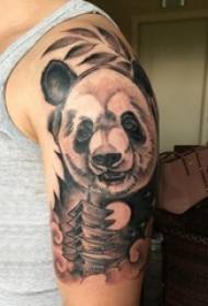 Panda tätoveeringu illustratsioon - meeste panda tätoveeringu pilt mustal käel