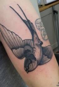 Modello di tatuaggio rondine grigio nero europeo e americano grande braccio