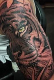 Tato lengan besar ganda, lengan besar anak laki-laki, gambar tato harimau yang mendominasi