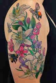 Tatuaggi di pianta, braccia di ragazza, fiori dipinti, stampi di tatuaggi