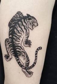 Tatui il ragazzo della tigre con il grande braccio sull'immagine nera del tatuaggio della tigre