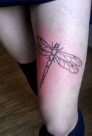 coxa da rapaza da tatuaxe da libélula no cadro da tatuaxe minimalista negra