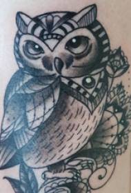 Tatuointi pöllö tyttö pöllö pöllö tatuointi kuvaa
