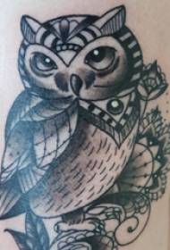 Gufo della ragazza del gufo del tatuaggio sull'immagine del tatuaggio del gufo