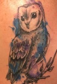 Zimbini ii-tattoos ezingalo zombini ezikhulu ezingamadoda amakhulu kwimifanekiso enemibala ye-owl