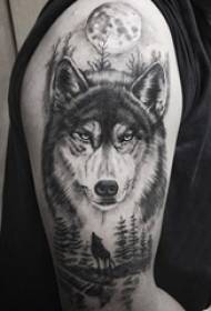 Berniukų rankos ant juodo taško erškėčio ir mažų gyvūnų vilkų tatuiruotės nuotrauka