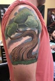 Braccio del fiore del pino del ragazzo del braccio grande braccio sull'immagine colorata del tatuaggio del grande albero