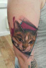 Velké paže tetování ilustrace dívka velké paže na geometrii a kočičí tetování obrázek
