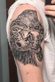 Modèle de tatouage tigre et serpent garçon gros bras sur l'image de tatouage tigre et serpent