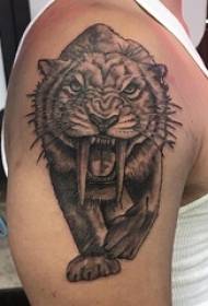 Тигер тетоважа мужјака корњача тотем на црној сабљи зуб тигар тетоважа слику
