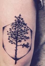 Dubbele grote arm-tatoeages mannelijke grote arm bovenste zeshoek en grote boom tattoo-foto's