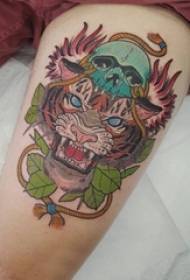 Muška kornjača totemske tetovaže tigar na uzorku tetovaže tigar totem