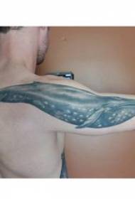 Paus tatu, lelaki, lengan besar pada gambar tatu paus hitam