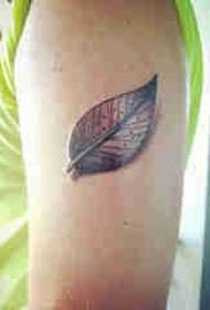 Plantă tatuaj băiat mare braț pe imagine de tatuaj cu frunze negre
