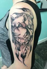 Palë e tatuazheve të krahut të madh vajzë krah i madh në fotografinë e tatuazhit të ujkut