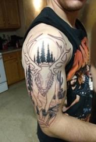 雙大臂紋身男大臂上大樹和鹿紋身圖片