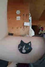 Illustrazione del tatuaggio del grande braccio Il grande braccio della ragazza sull'immagine colorata del tatuaggio del gatto