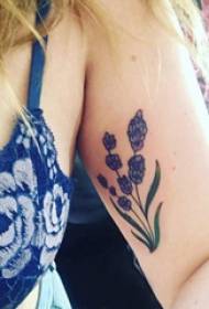 Bimë e madhe e vajzës së tatuazhit në figurën e tatuazheve të bimëve me ngjyrë