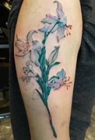 ლილი ყვავილების ტატულის ნიმუში გოგონას დიდი მკლავი ფერადი ლილი tattoo სურათზე