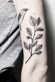 Grote arm kleine verse tak vogel tattoo patroon