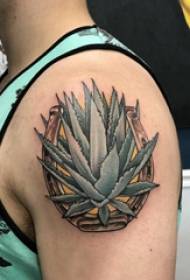 Coppia di tatuaggi braccio grande braccio grande ragazzo su foto tatuaggio aloe colorata