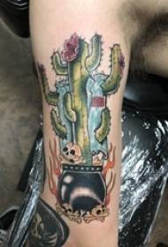 Ganda tato lengan besar laki-laki lengan besar rahang atas dan gambar tato kaktus