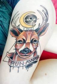 Art deer tattoo intombazana phezulu kwesithombe sobuciko be-deer tattoo