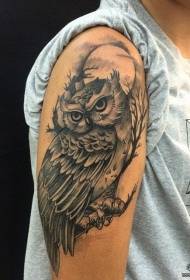 Большая рука европейский и американский черный серая сова луна татуировки