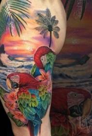 大臂紋身插圖男性大臂上的鸚鵡和風景紋身圖片