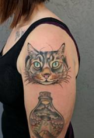 Vajza me tatuazhe të dyfishtë krah krahut që fluturon dhe fotografia e tatuazhit të maceve në krahun e madh