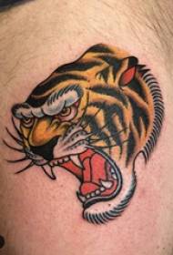 बेली पशु टैटू नर बाघ जांघों पर रंगीन बाघ टैटू चित्र