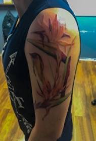 Dûbele grutte earm tatoeaazje famke grutte earm op kleurige fûgel fan it paradysblom tatoeage ôfbylding