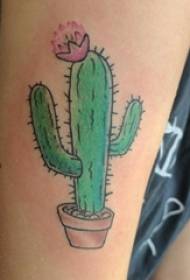 Mga batang babae malaking braso na ipininta sa gradient simpleng mga linya maliit na sariwang sariwang halaman ng cactus tattoo na larawan