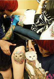 Hluas nkauj ncej puab ntxim hlub miv taub hau tattoo