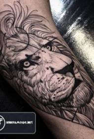 Il braccio grande di Baile animal tattoo boy sulla foto del tatuaggio leone nero